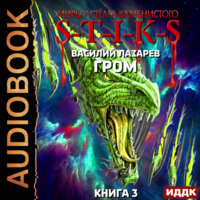 . S-T-I-K-S. Гром. Книга 3