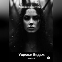 Туласи Андроникиди. Ущелье Ведьм. Книга 7