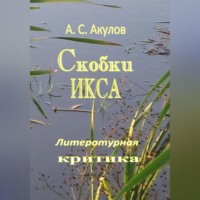 Александр Сергеевич Акулов. Скобки икса. Литературная критика