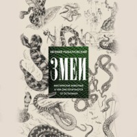Евгений Рыбалтовский. Змеи. Мистические животные и чем они отличаются от остальных