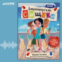 Марина Беляева. Дивноморские сыщики. Дело о пляжном воре