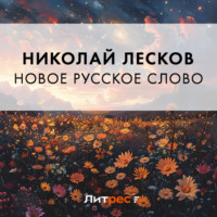 . Новое русское слово