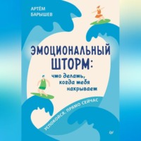 Артём Барышев. Эмоциональный шторм: что делать, когда тебя накрывает. Успокойся. Прямо cейчас