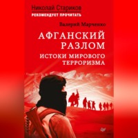 Валерий Марченко. Афганский разлом. Истоки мирового терроризма