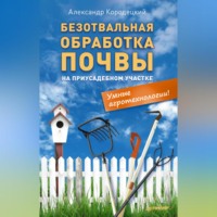 А. В. Кородецкий. Безотвальная обработка почвы на приусадебном участке: умные агротехнологии