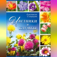 Анастасия Скворцова. Цветники и клумбы