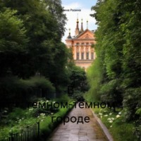 Элина Разина. В темном-темном городе