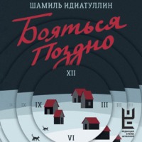 Шамиль Идиатуллин. Бояться поздно