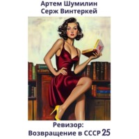 . Ревизор: возвращение в СССР 25