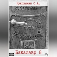Сергей Куковякин. Бакалавр 8
