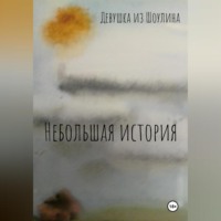 Девушка Из Шоулина. Небольшая история