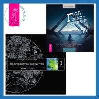 . Год самопознания: Ритуалы, практики и медитации, меняющие жизнь. Трансерфинг реальности. Ступень I: Пространство вариантов