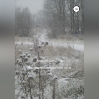 . Неспящие. Беспокойная зима