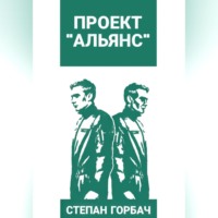 Степан Горбач. Проект «Альянс»