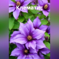 Анна Ивановa. Клематис