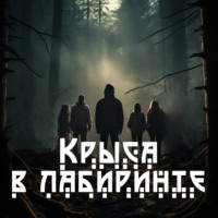 Римма Кульгильдина. Крыса в лабиринте