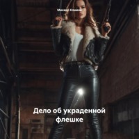 Михаил Климов. Дело об украденной флешке