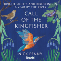 Nick Penny. Call of the Kingfisher - Bright sights and birdsong in a year by the river (Unabridged)