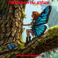 Владимир Баринов. Лабиринты души