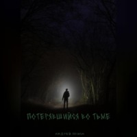 Андрей Плиса. Потерявшийся во тьме