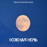 Виктория Олеговна Феоктистова. Южная ночь