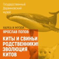 Ярослав Попов. Киты и свиньи родственники! Эволюция китов