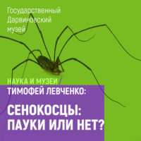 Тимофей Левченко. Сенокосцы: пауки или нет?