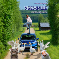 . Убежище. Книга седьмая