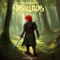 Вадим Саунанен. Маленький рыцарь