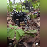 Семен Берсенев. Шовах и Шасерра. Книга 3 и 4