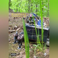 Семен Берсенев. Дневники оркнессы. Книга 3 и 4. Утомленные счастьем