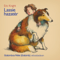 Eric Knight. Lassie hazat?r