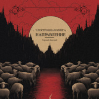 Дмитрий Гирский. Направление