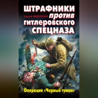Сергей Михеенков. Штрафники против гитлеровского спецназа. Операция «Черный туман»
