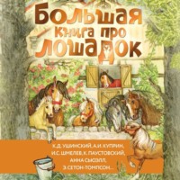 . Большая книга про лошадок