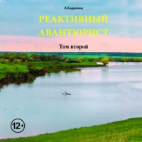 Александр Бедрянец. Реактивный авантюрист. Том второй