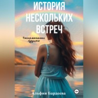 Альфия Бардеева. История нескольких встреч