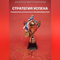 Андрей Миллиардов. Стратегия успеха. Руководство для опытных предпринимателей