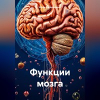 . Функции мозга