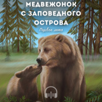 Андрей Кузнецов. МЕДВЕЖОНОК С ЗАПОВЕДНОГО ОСТРОВА (первое лето)