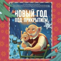 Екатерина Оковитая. Новый год под прикрытием