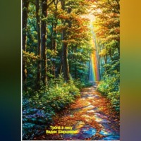 . Тропа в лесу