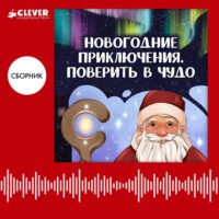 . Новогодние приключения. Поверить в чудо