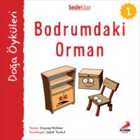 Zeynep Yeşilmen. Kır ?yk?leri – Bodrumdaki orman