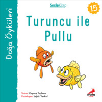 Zeynep Yeşilmen. Kır ?yk?leri – Turuncu ile pullu