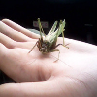 Сергей Герасимов. Аудиоспектакль Сказка про больших и маленьких