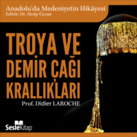 Didier Laroche. Anadolu'da Medeniyetin Hikayesi 2 – Troya ve Demir ?ağı Krallıkları