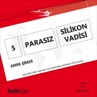 Emre Şimdi. 5 Parasız Silikon Vadisi