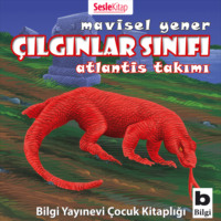 . ?ılgınlar Sınıfı 5 – Atlantis Takımı