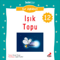 Nuran Turan. Kır ?yk?leri – Işık topu
